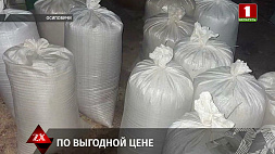 Более 750 кг комбикорма похитил работник сельхозпредприятия в Осиповичах