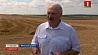 А.Лукашенко: Приложить максимум усилий для тщательной уборки урожая