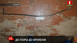 СК завершил расследование убийства с особой жестокостью в Бобруйске 