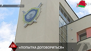 Вор в Витебске облил свою жертву зеленкой возле здания суда