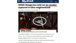 В Огайо поймали дикого африканского сервала в состоянии наркотического опьянения