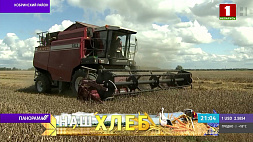 Белорусские комбайнеры убирают урожай в режиме нон-стоп, надо получить от земли максимум