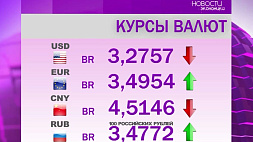 В Беларуси изменилась ситуация с долларом: вот какой результат показали инвалюты на торгах 19 апреля