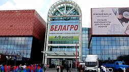 NPK-удобрения, блогеры на предприятиях и вкусные новинки - на "Белагро" собралось около 500 компаний из 11 стран