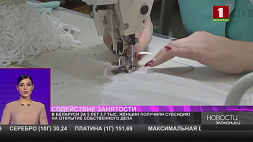 В Беларуси за 5 лет 3,7 тыс. женщин получили субсидию на открытие собственного дела