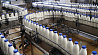 Беларусь в 2023 году поставляла молочные продукты в 59 стран