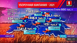В Беларуси осталось убрать 10 % площадей зерновых