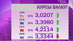 Курсы валют на 19 июля: белорусский рубль ослаб к основным валютам, кроме российского рубля
