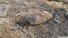 Бомбу, найденную на территории бывшего "БелЭкспо", готовят к отправке на полигон  