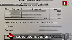 Главный бухгалтер фирмы в Барановичах 5 лет жила на широкую ногу за счет работодателя