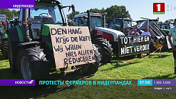 В Нидерландах фермеры на тракторах протестуют против закрытия сельхозпредприятия