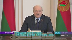 Президент Беларуси о важнейших вопросах для старта посевной: топливо, удобрения, семена 