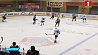В чемпионате Беларуси по хоккею сегодня пройдут три матча