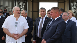 Лукашенко о замещении импортных сортов отечественными: Это задача номер один