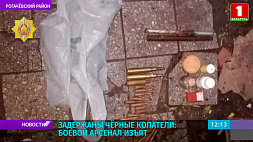 В Рогачевском районе задержаны черные копатели - боевой арсенал изъят