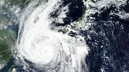 Порывы ветра до 150 км/ч - мощный тайфун обрушился на Южную Корею