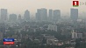 В Мексике из-за лесных пожаров чрезвычайная экологическая тревога