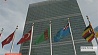 Минские соглашения единогласно принял Совбез ООН