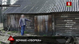 Двое жителей Солигорского района "помогли" односельчанке очистить двор от металлолома