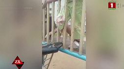 В Слониме спасатели освободили застрявшего на детской площадке ребенка 