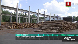 Беларусь и Россия готовы совместно наладить экспортные коридоры поставок древесины
