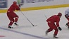 Сборная Беларуси по хоккею померится силами со Швейцарией
