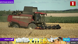Сколько тонн зерна собрали белорусские аграрии?