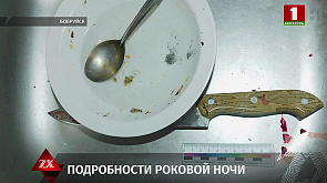 Жителю Бобруйска, убившему сожителя дочери, предъявлено обвинение