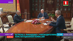 А. Лукашенко провел встречу с руководителями Конституционной комиссии 