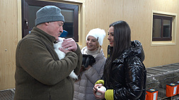 Лукашенко пригласил ведущих "Добрай ранiцы, Беларусь!"  в гости - эксклюзив с президентской фермы
