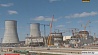 МАГАТЭ считает проект Белорусской АЭС устойчивым к внешним угрозам