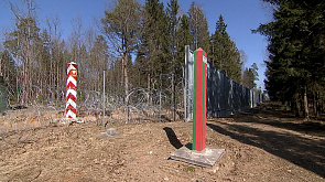 Миссия ЮНЕСКО подтвердила наличие проблем из-за построенного Польшей забора в Беловежской пуще