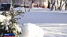 Морозы и обильный снег  в Гомельской области 