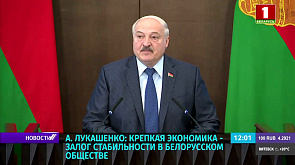 Лукашенко: Крепкая экономика - залог стабильности в белорусском обществе
