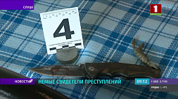 День судебного эксперта отмечают в Беларуси 22 апреля 