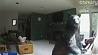 Медведь атаковал жилой дом Колорадо