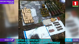 Схрон боеприпасов обнаружен возле украинско-белорусской границы