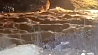 В Оренбургской области прорвало дамбу - затоплено более полутысячи домов