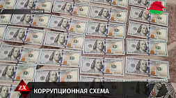 Оперативники БЭП выявили коррупционную схему на мясоперерабатывающем предприятии Борисова