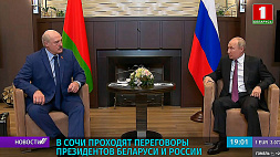 Переговоры президентов Беларуси и России проходят в Сочи