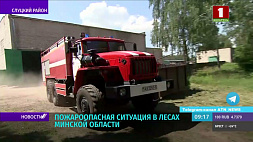 Аномальная жара в Беларуси - причина лесных пожаров