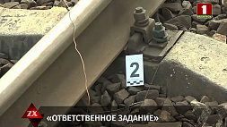 Трое жителей Светлогорска устроили диверсию на железной дороге - заработали тысячу рублей и срок