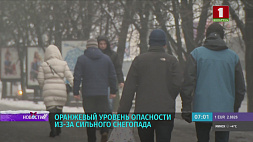 Сильный ветер, гололед и мокрый снег - в Беларуси объявлен оранжевый уровень опасности