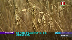 Мир на грани голода: задача  - максимально обеспечить продовольственную безопасность Беларуси