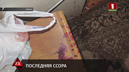 Завершено расследование  уголовного дела о жестоком убийстве в Минске