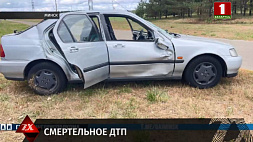 В Минске под колесами авто погиб работник коммунальной службы