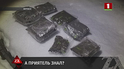 Более 5 кг марихуаны закопал на даче у приятеля житель Витебска 