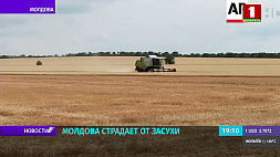 Молдова страдает от засухи, украинские хлеборобы работают себе в убыток