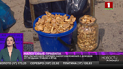 МНС Беларуси разъяснило порядок налогообложения с доходов от продажи грибов и ягод 