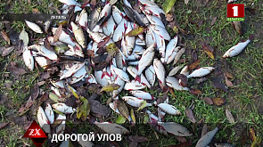 Когда после рыбалки штраф вместо улова - Инспекторы Березинского биосферного заповедника задержали местного жителя